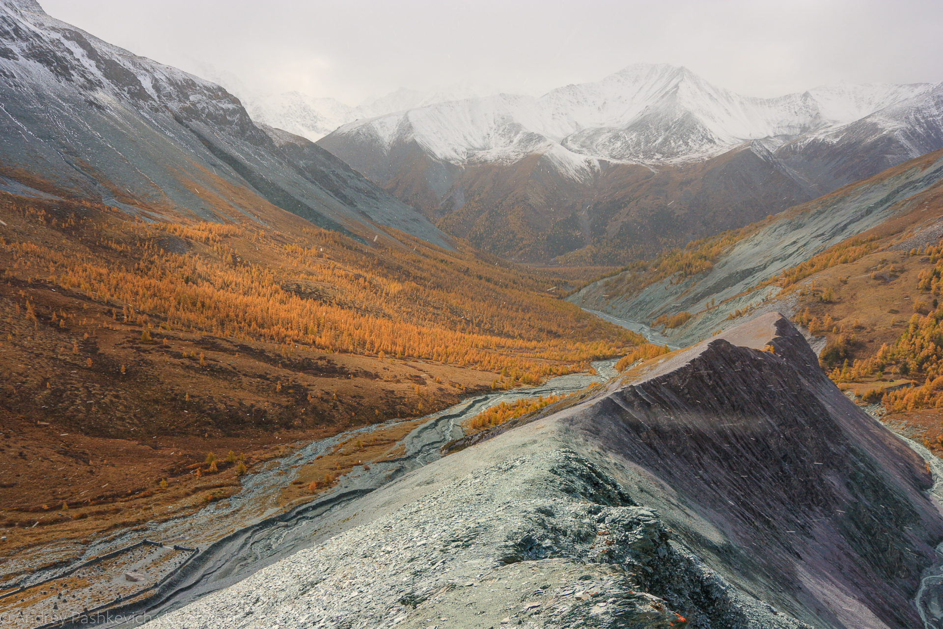 Географическое положение алтая горы. Горы Алтая,Долина Ярлу. Долина реки Ярлу горный Алтай. Долина Ярлу Катунский заповедник. Долина Ярлу горный Алтай фото.