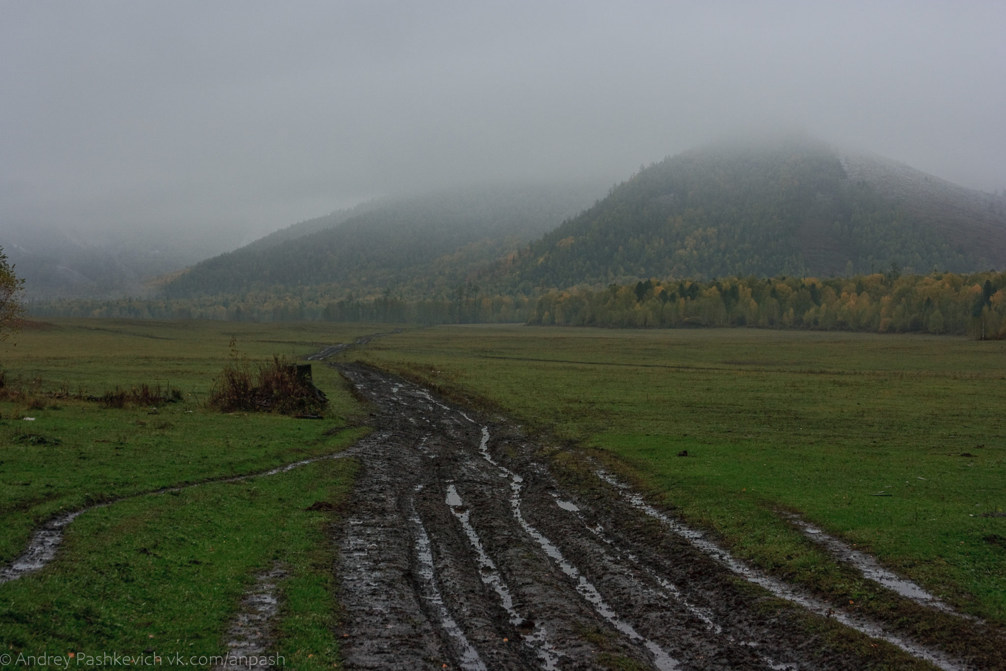 Перевал Кузуяк Алтай