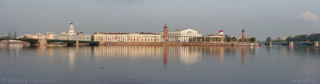 Стрелка Васильевского острова, панорама
