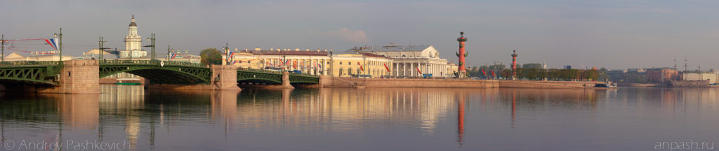 Стрелка Васильевского острова и Дворцовый мост, панорама