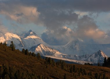 Горный джайлоо Алтай