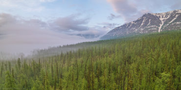 Туманные леса и горы плато Путорана
