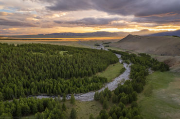 Алтай, долина ручья Бугузун
